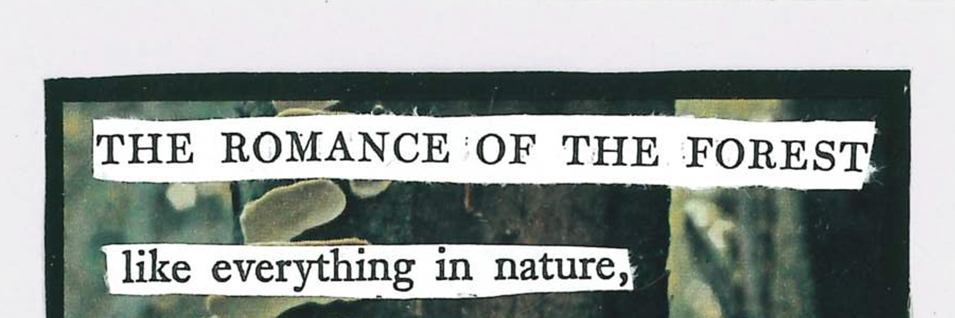 Headline of THE ROMANCE OF THE FOREST as seen in Pathos Litmag, 22'/23'.